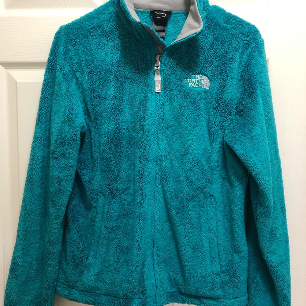 Osito north face in turquoise